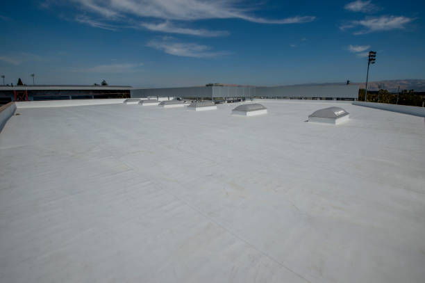 Best Rubber Roofing (EPDM, TPO)  in Braska City, NE