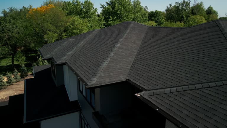 Best Roof Insulation Installation  in Braska City, NE