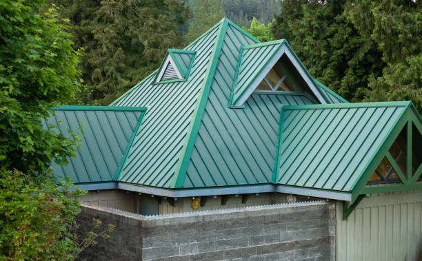 Best Skylight Installation and Repair  in Braska City, NE