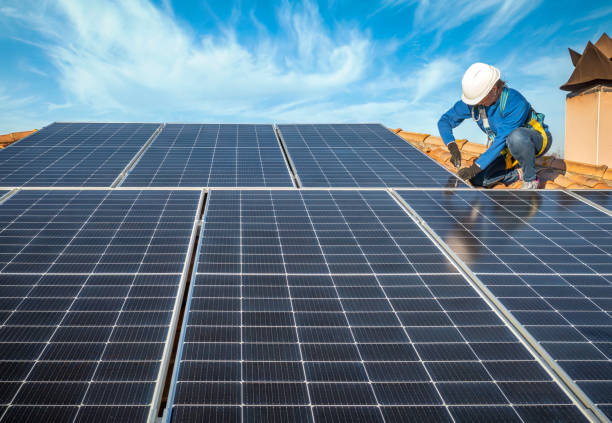 Best Roof Maintenance and Cleaning  in Braska City, NE