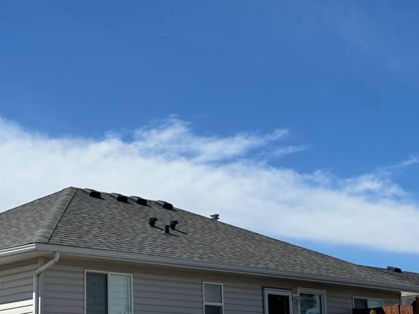Best Roof Moss and Algae Removal  in Braska City, NE