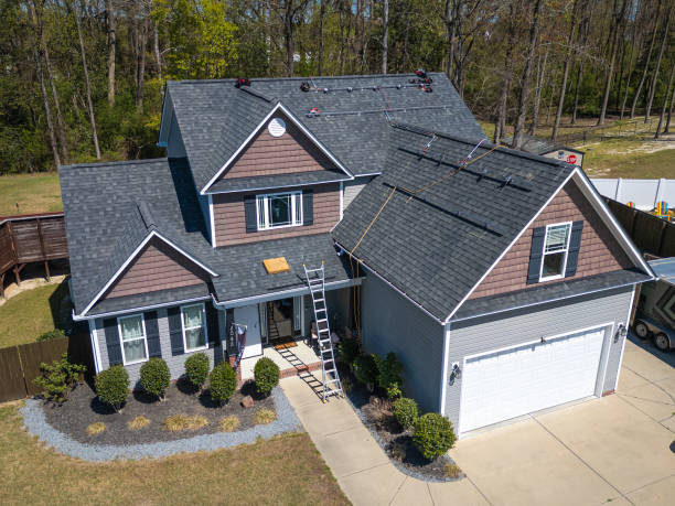 Best Asphalt Shingle Roofing  in Braska City, NE